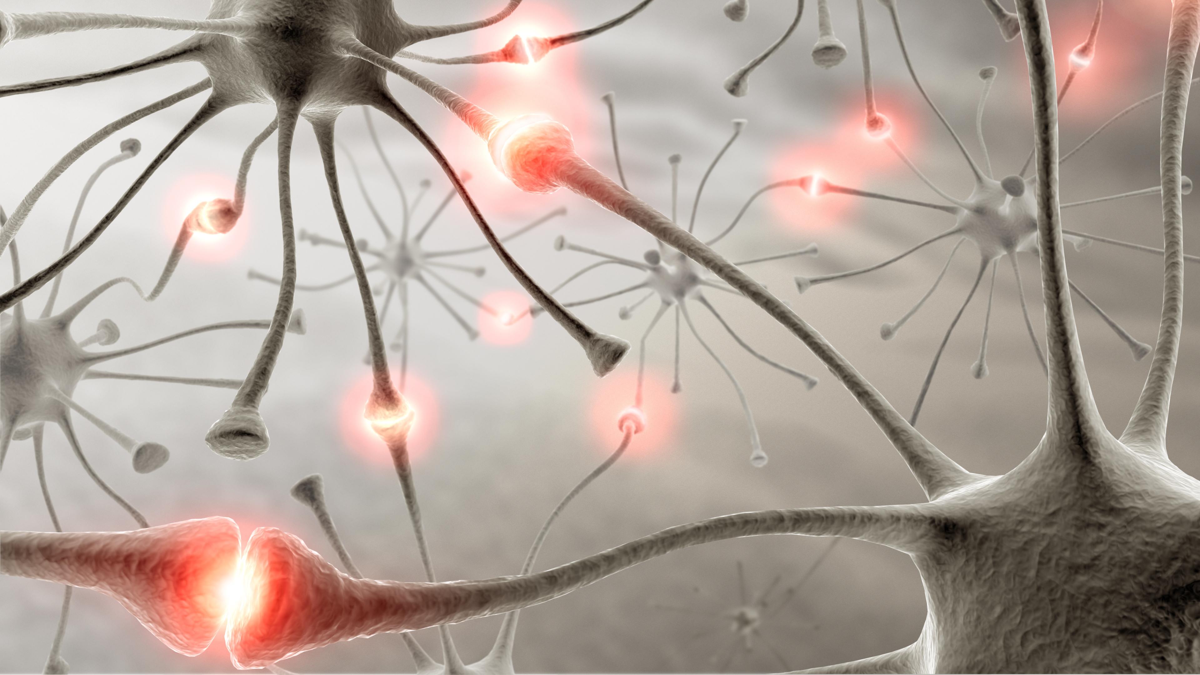 Искусственная нервная система имитирует «сознательную» реакцию живого мозга