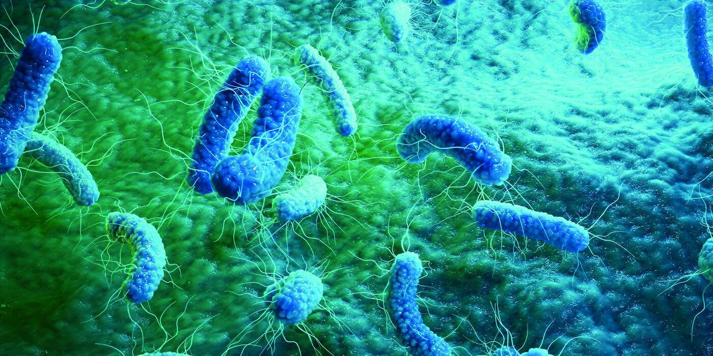 Новые перспективы борьбы с антибиотикорезистентностью