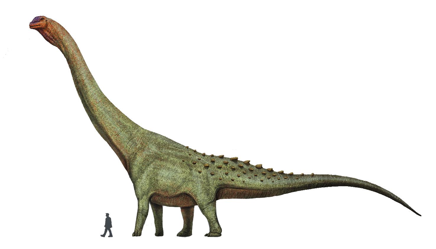 Найдены останки, возможно, самого крупного динозавра в истории