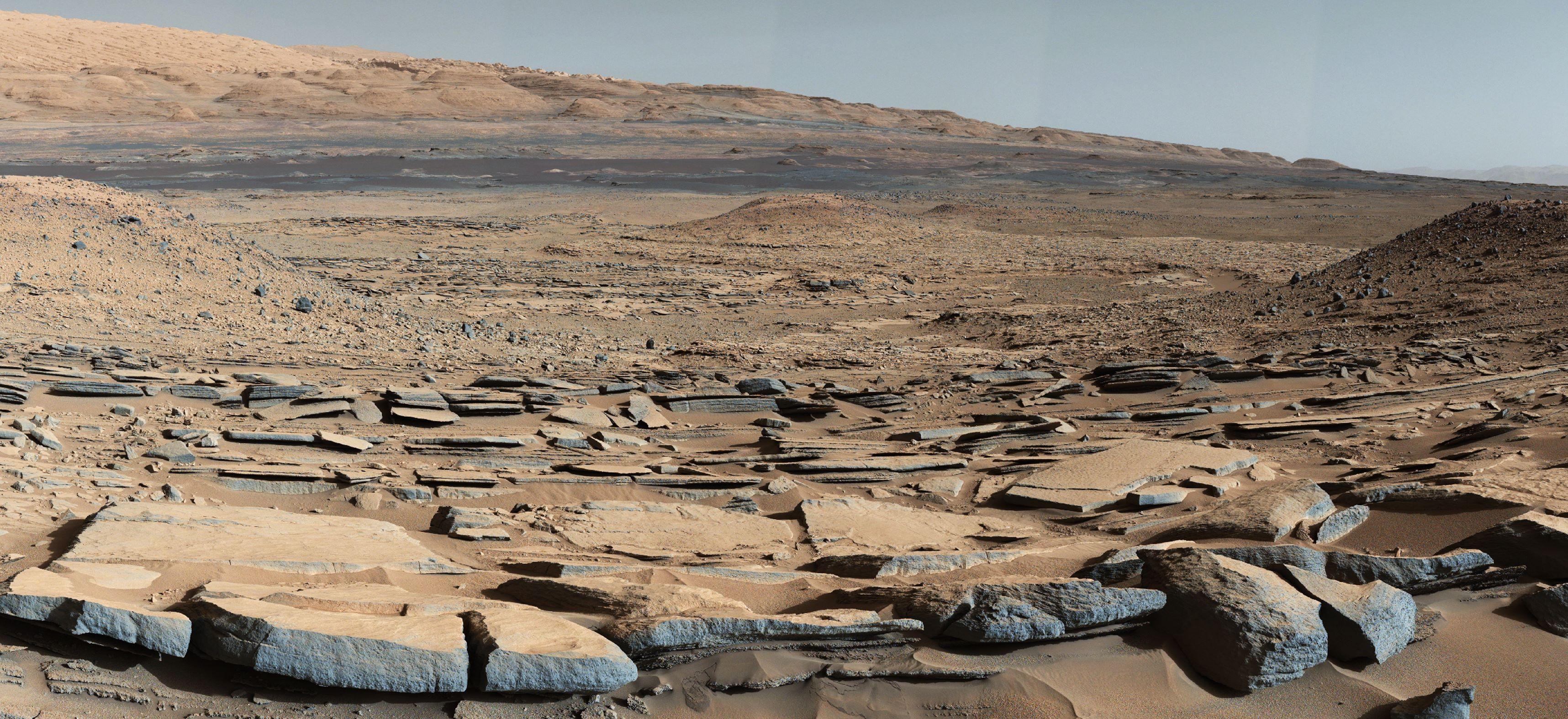 Земные микробы и грибы способны выживать на Марсе