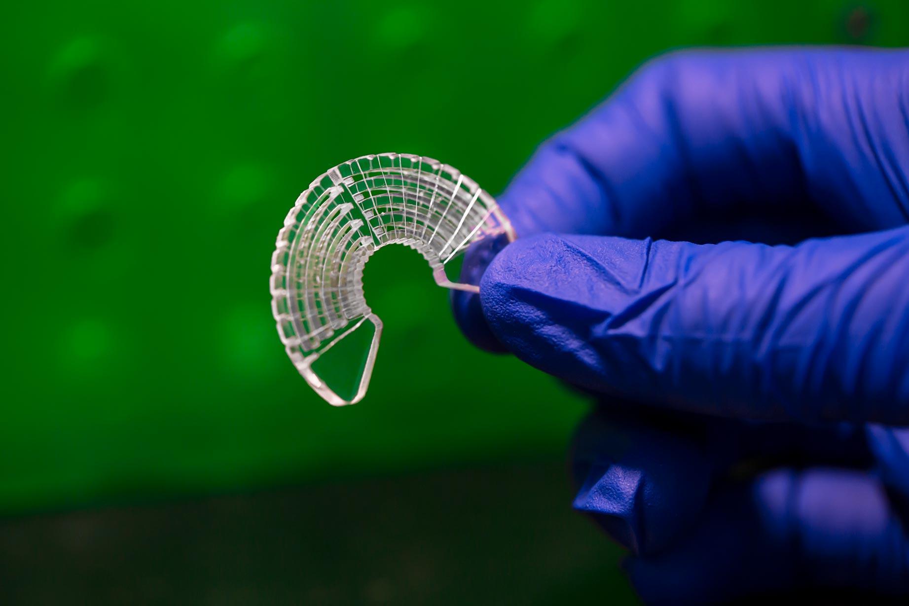Исследователи используют шёлк шелкопрядов для моделирования мышечной ткани