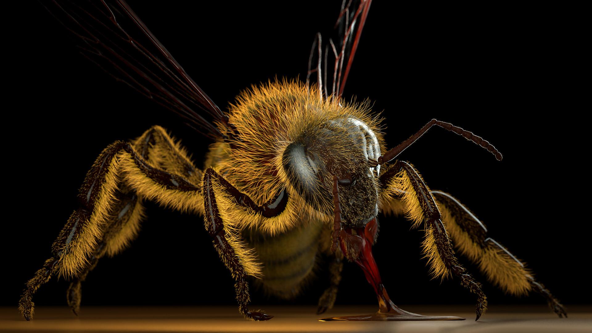 У зараженных пчел обнаружили повышенный уровень феромона тревоги