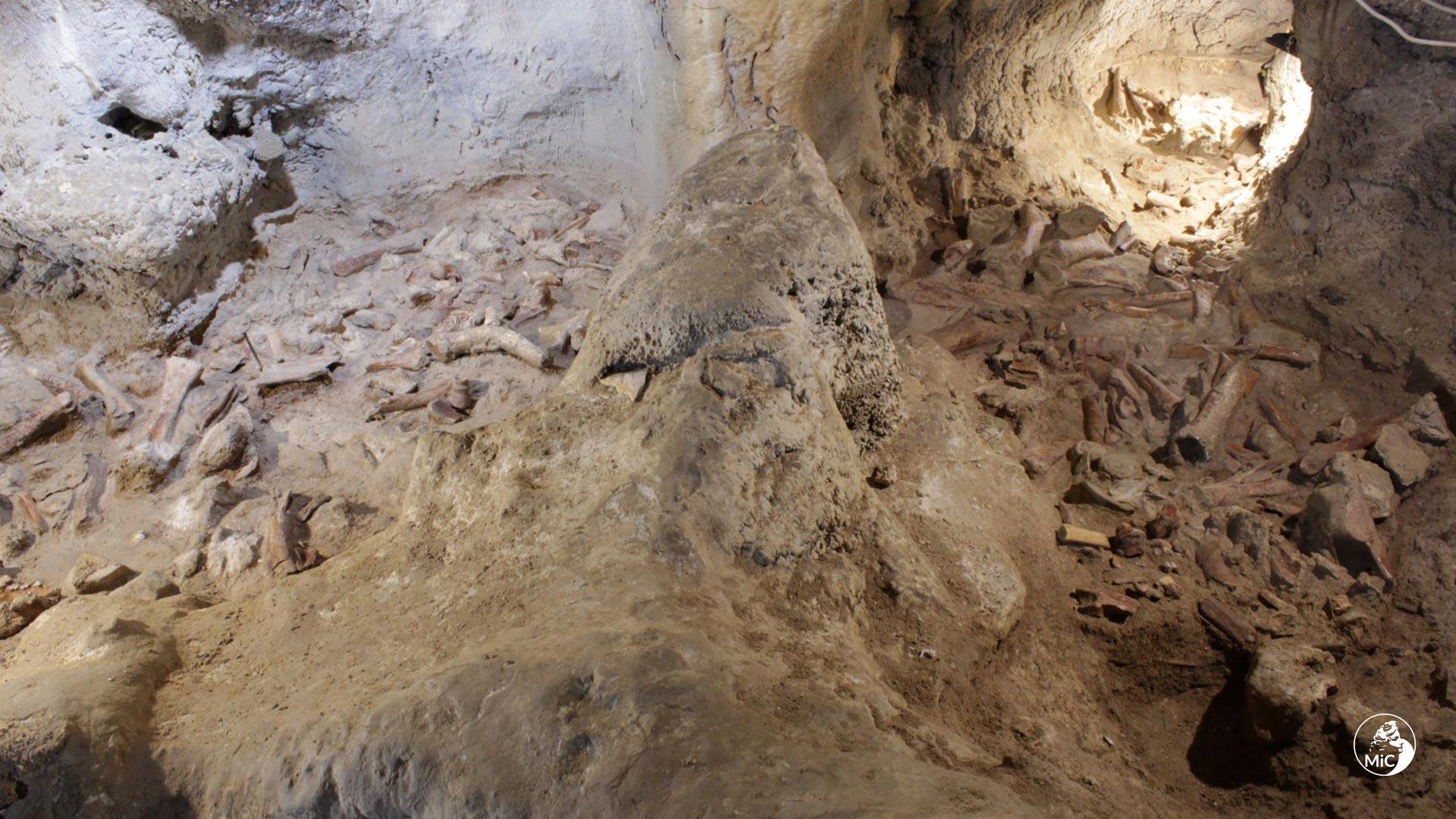 Недалеко от Рима нашли останки девяти съеденных пещерными гиенами неандертальцев