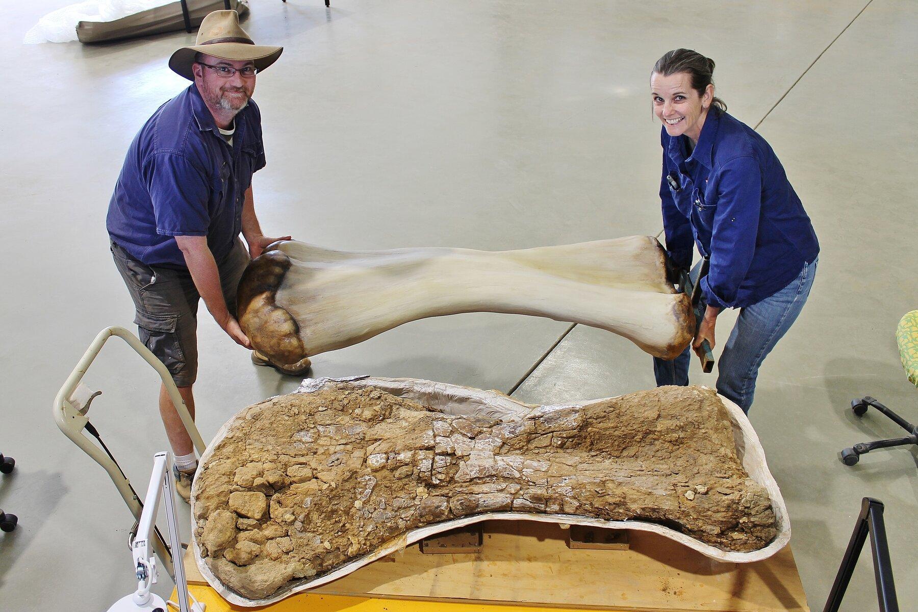 В Австралии открыли новый вид гигантского титанозавра