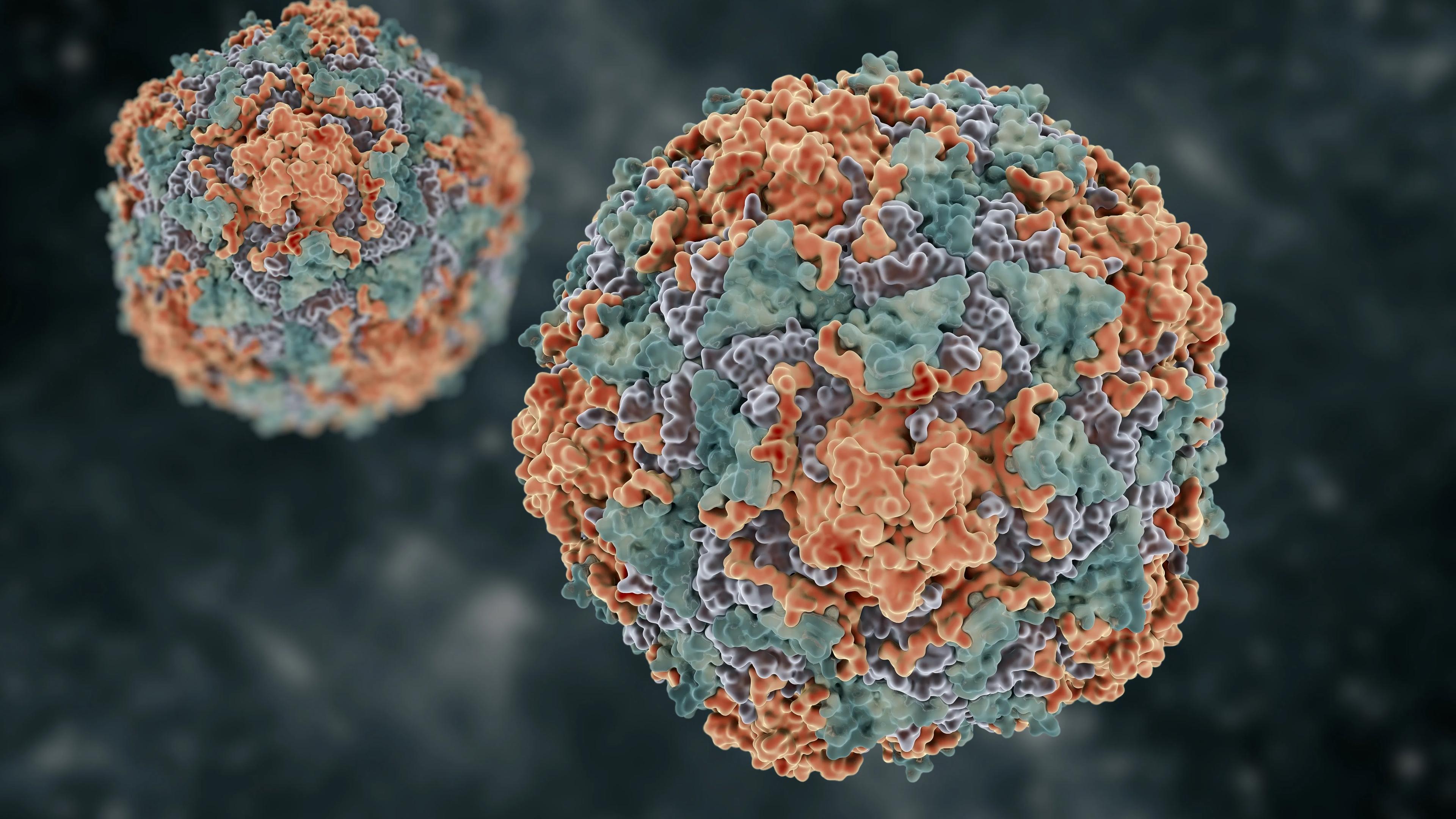 Вирус гепатита B заперли в клетке из ДНК