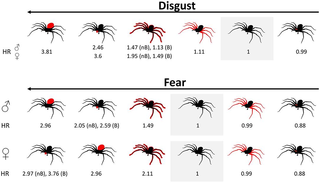 Брюшко и хелицеры оказались самыми пугающими частями тела пауков