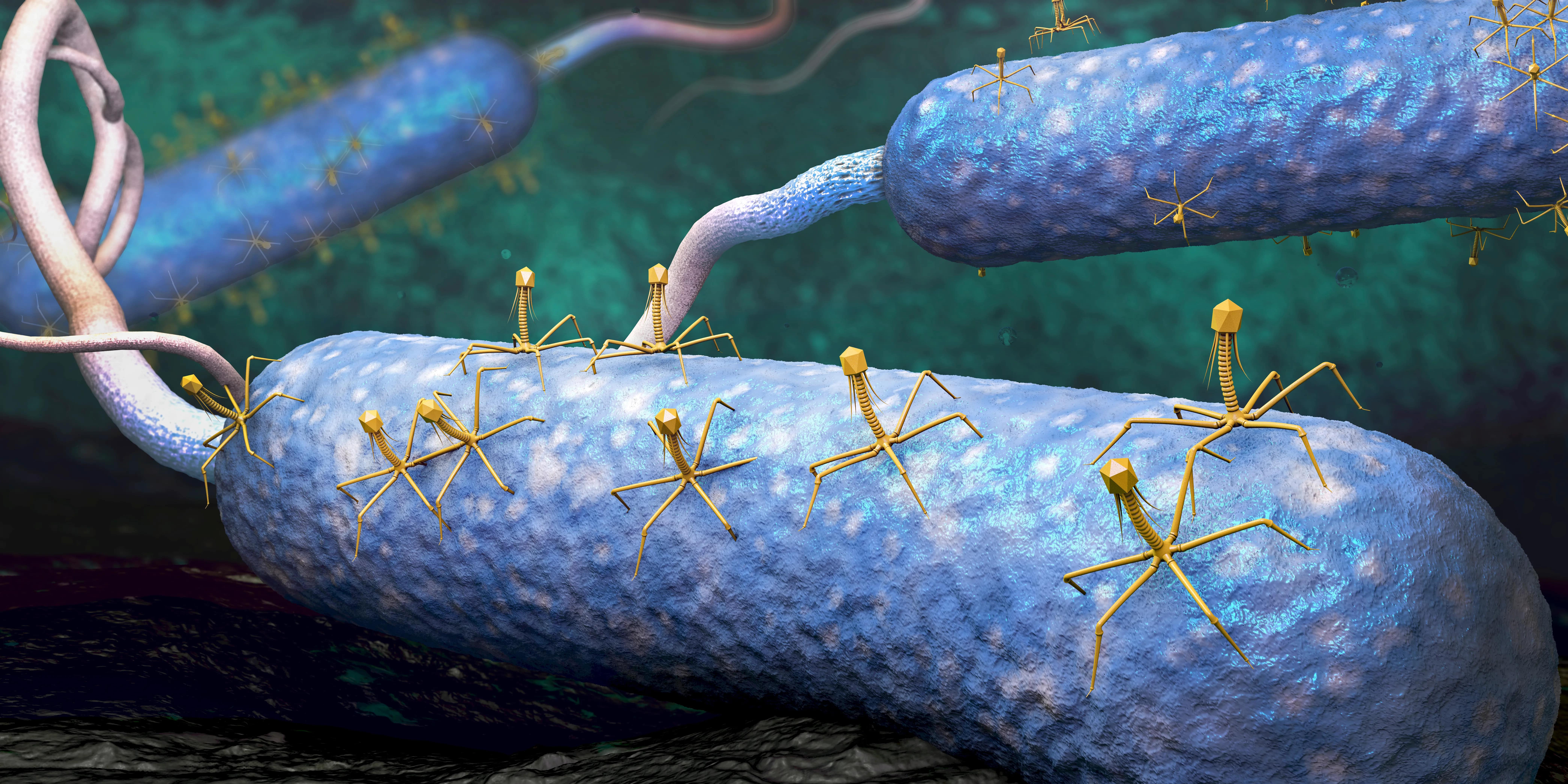 Вирусы наделяют бактерий суперспособностями