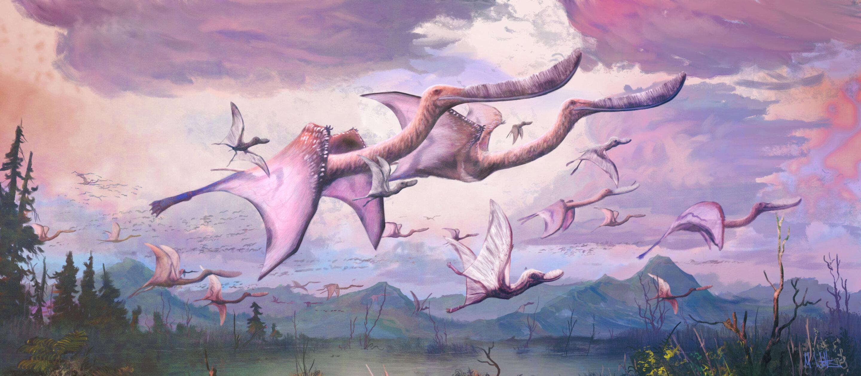 Кости крыльев птерозавров показали их способность к полету с самого рождения