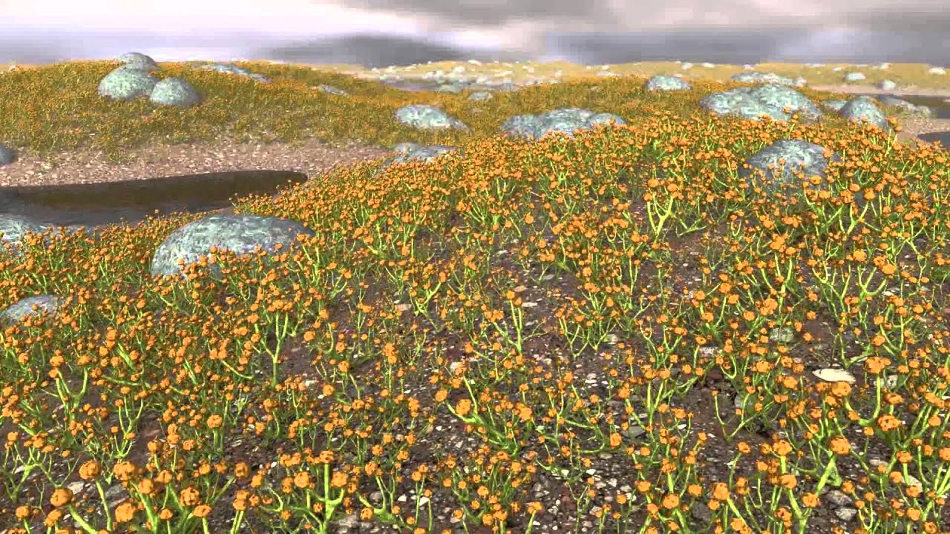 Первые наземные растения произошли от пресноводных водорослей