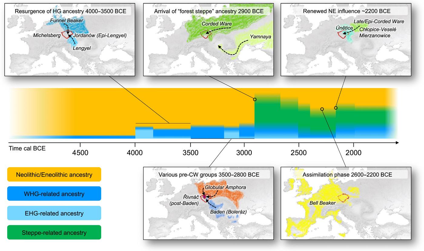 Палеогенетики раскрыли происхождение древних популяций Центральной Европы
