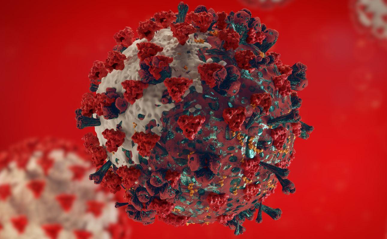 Скорость мутации коронавируса SARS-CoV-2 оказалась как минимум на 50 процентов выше