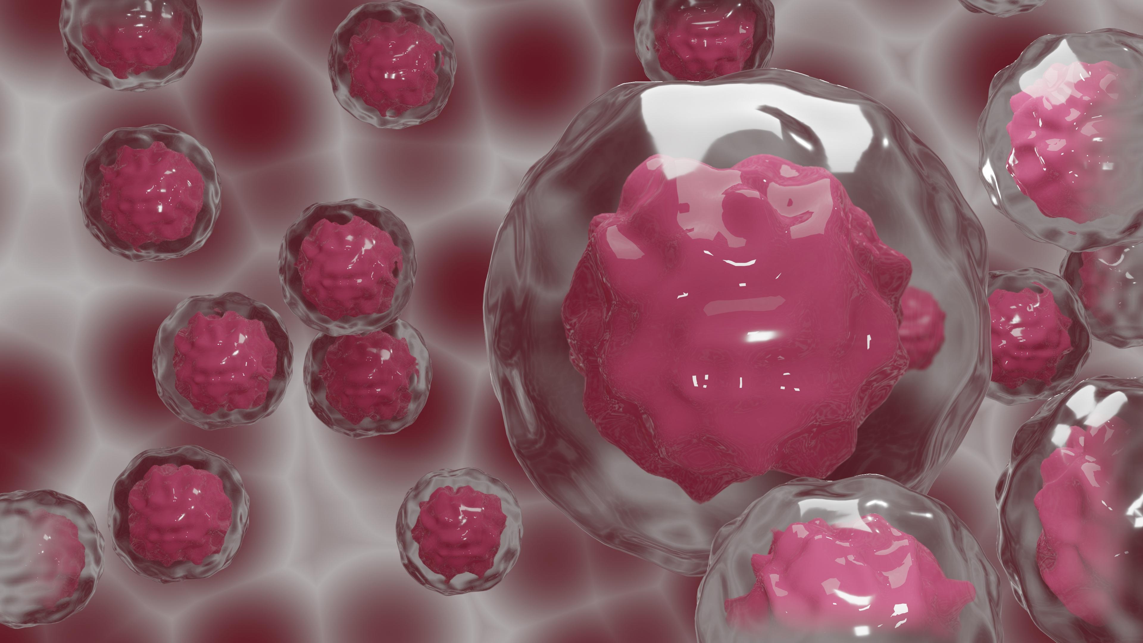 Лабораторные стволовые клетки превратили в эмбрион