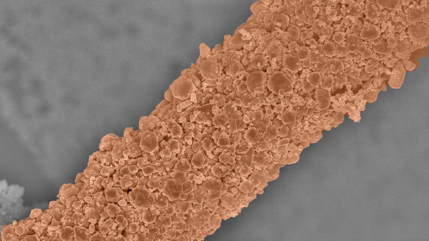 Металлическое нанопокрытие волокон ткани для борьбы с бактериями и вирусами