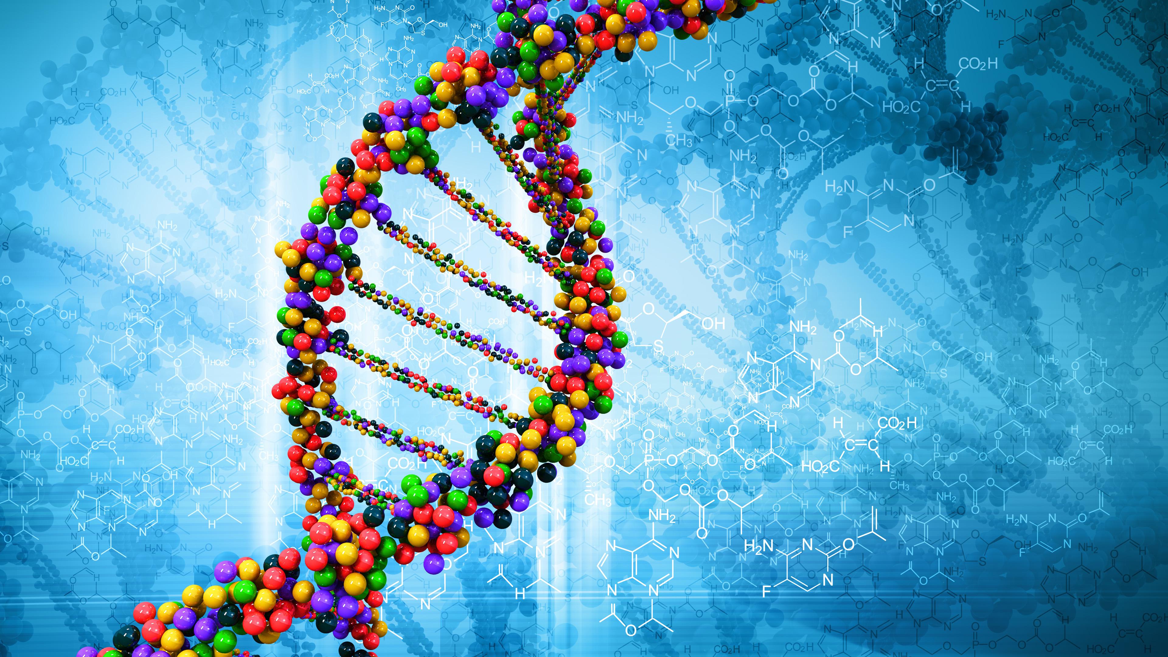 Ген теломеразы — ещё один шаг к разгадке тайны старения и рака