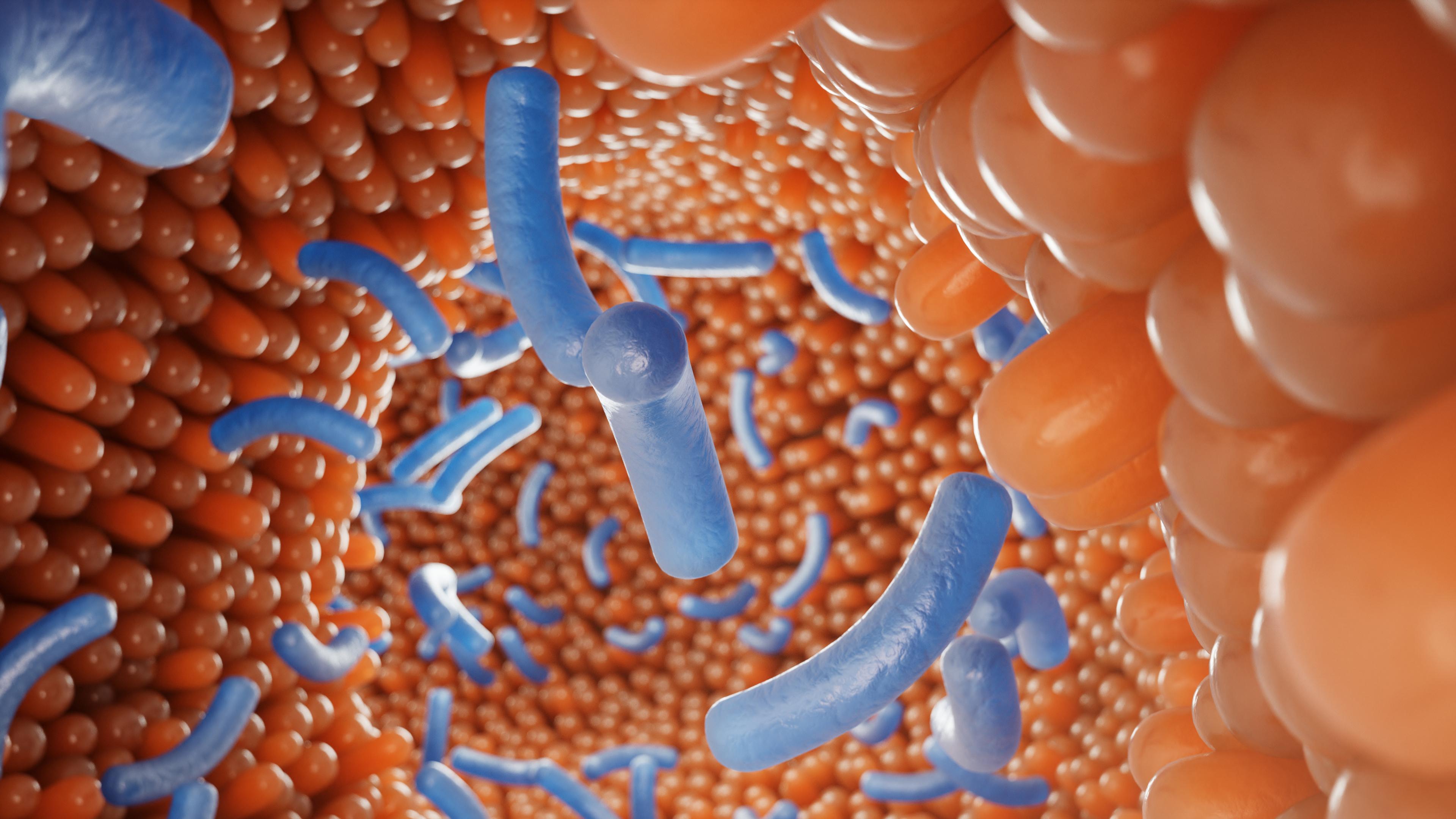 Бактерии кишечника способны накапливать лекарства, снижая их эффективность