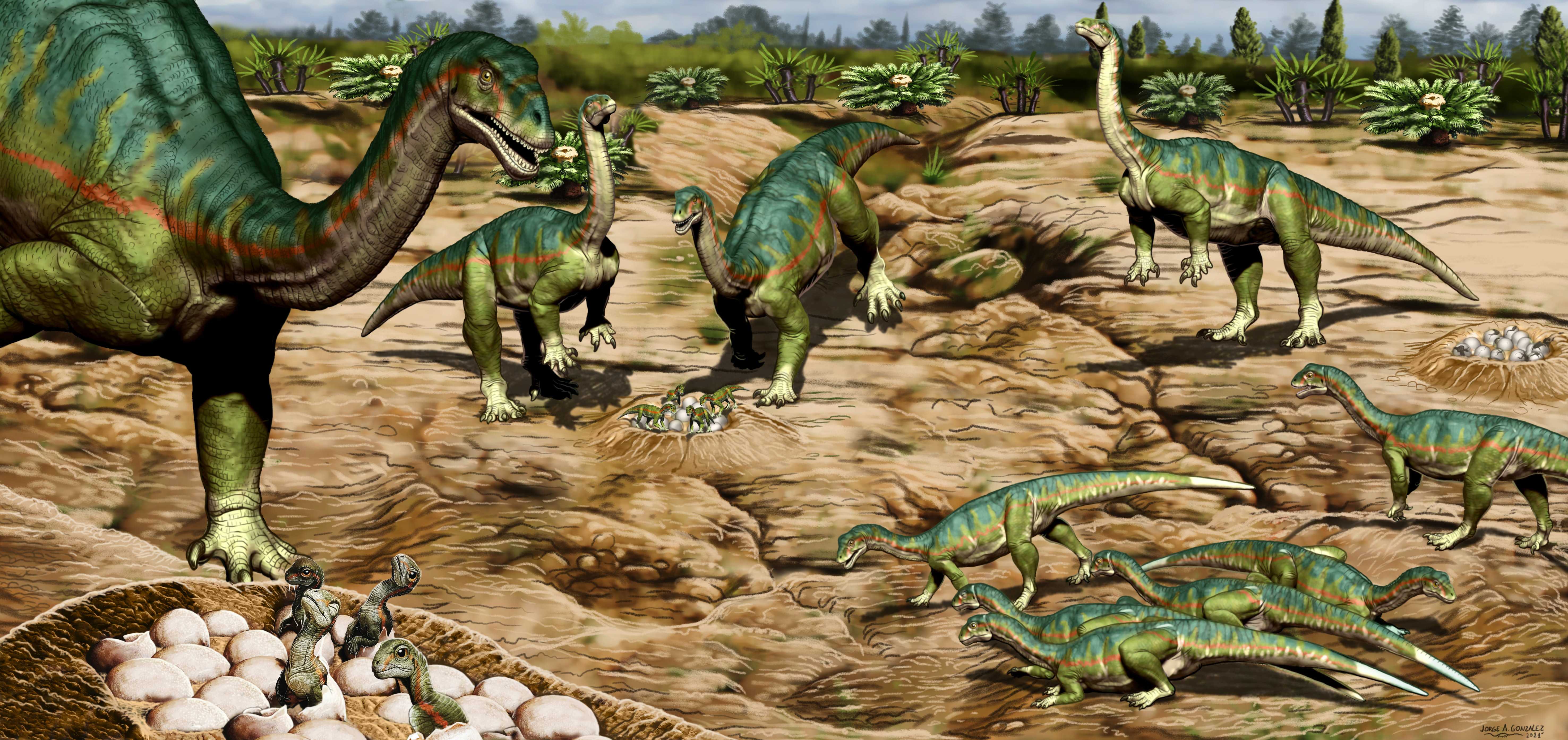 Ранние динозавры могли сбиваться в стада