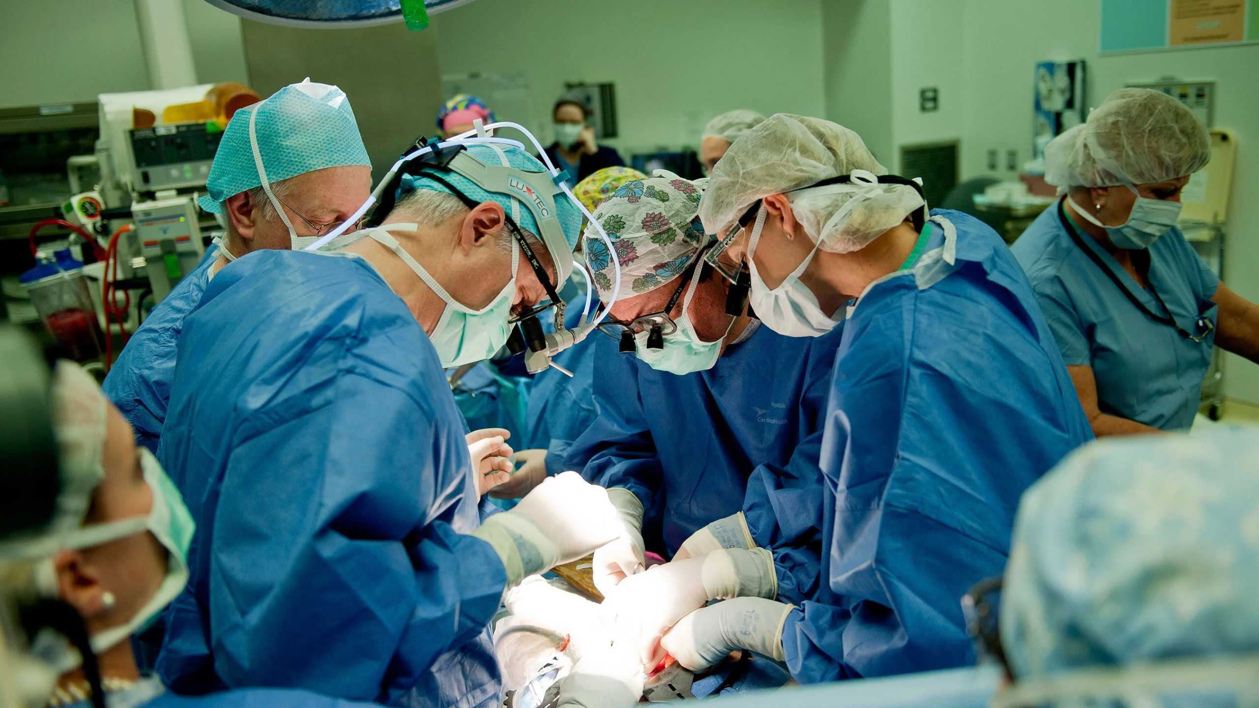 Хирургия в зародыше. Зачем (и как) делают операции еще не родившимся людям