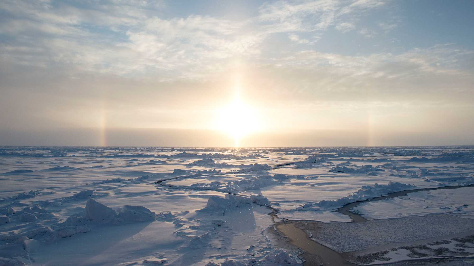 «Последняя ледовая зона» Северного Ледовитого океана может не пережить столетие