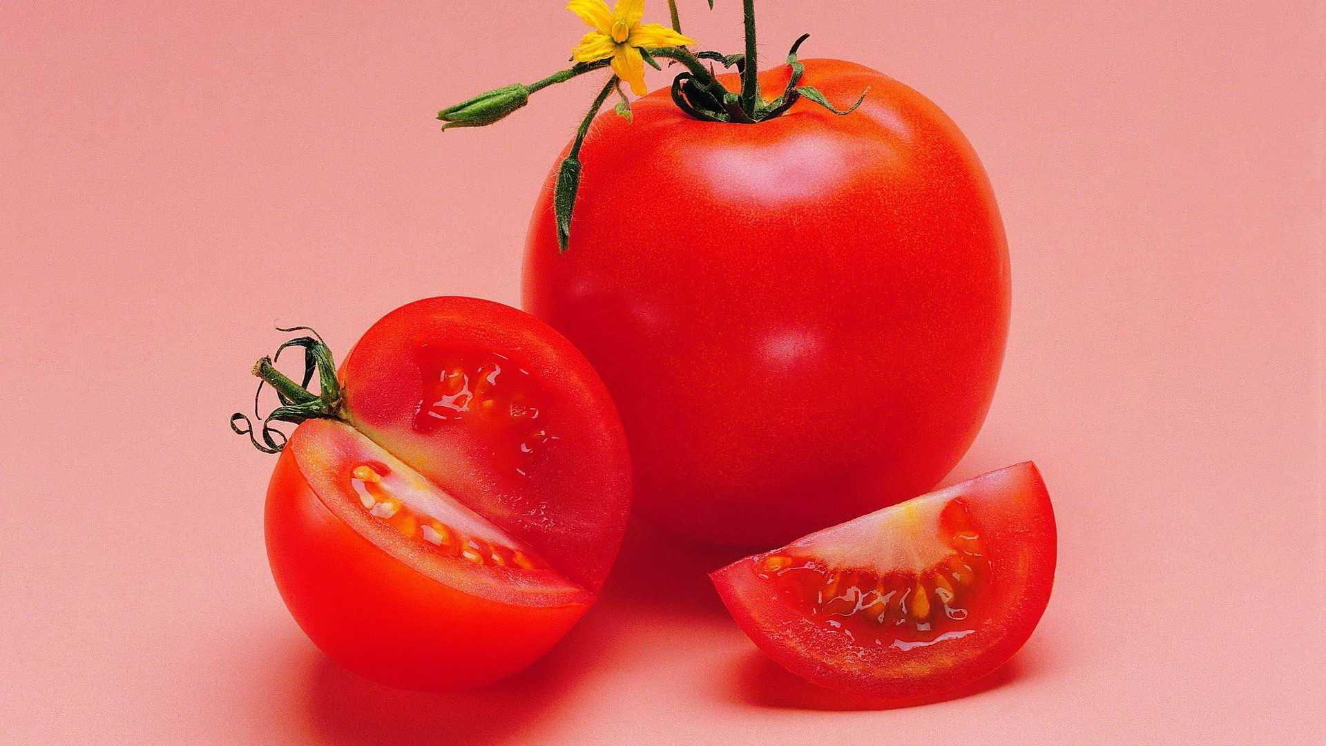 У помидоров нашли «ген гниения»