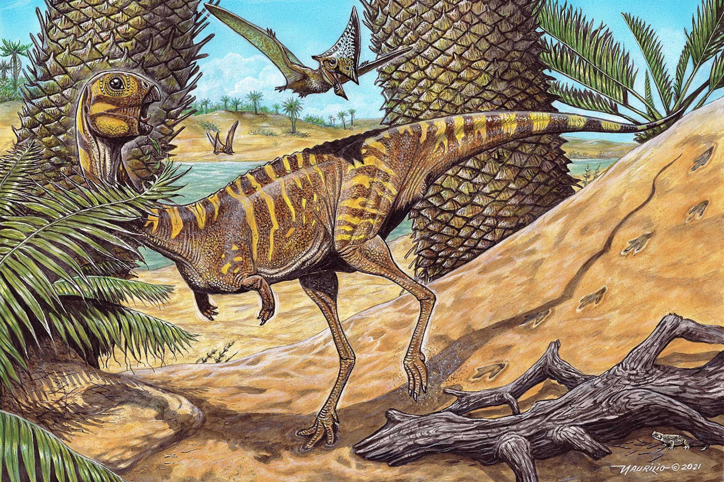 Палеонтологи нашли останки редкого беззубого динозавра