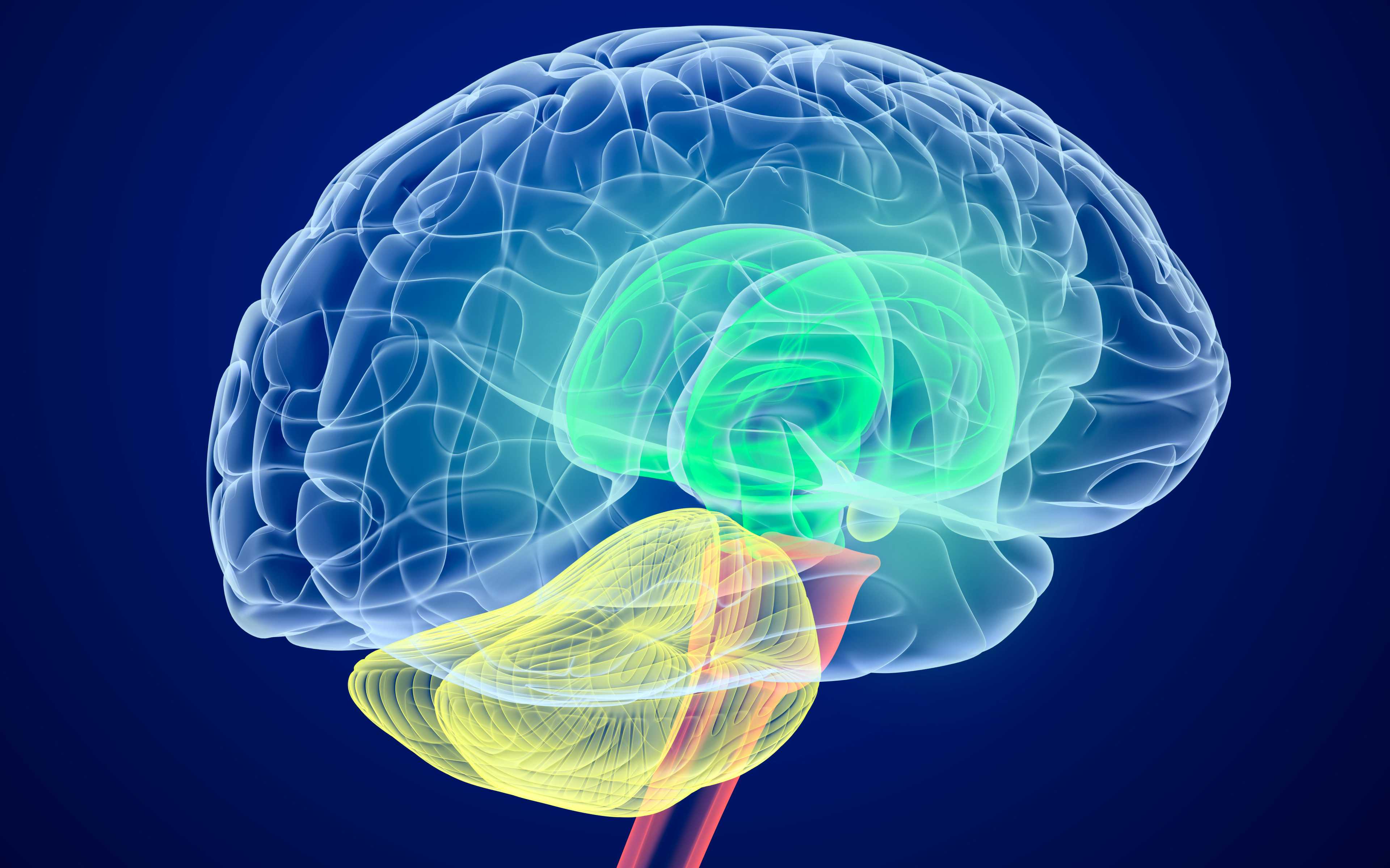 Профиль РНК поможет понять причины заболеваний головного мозга