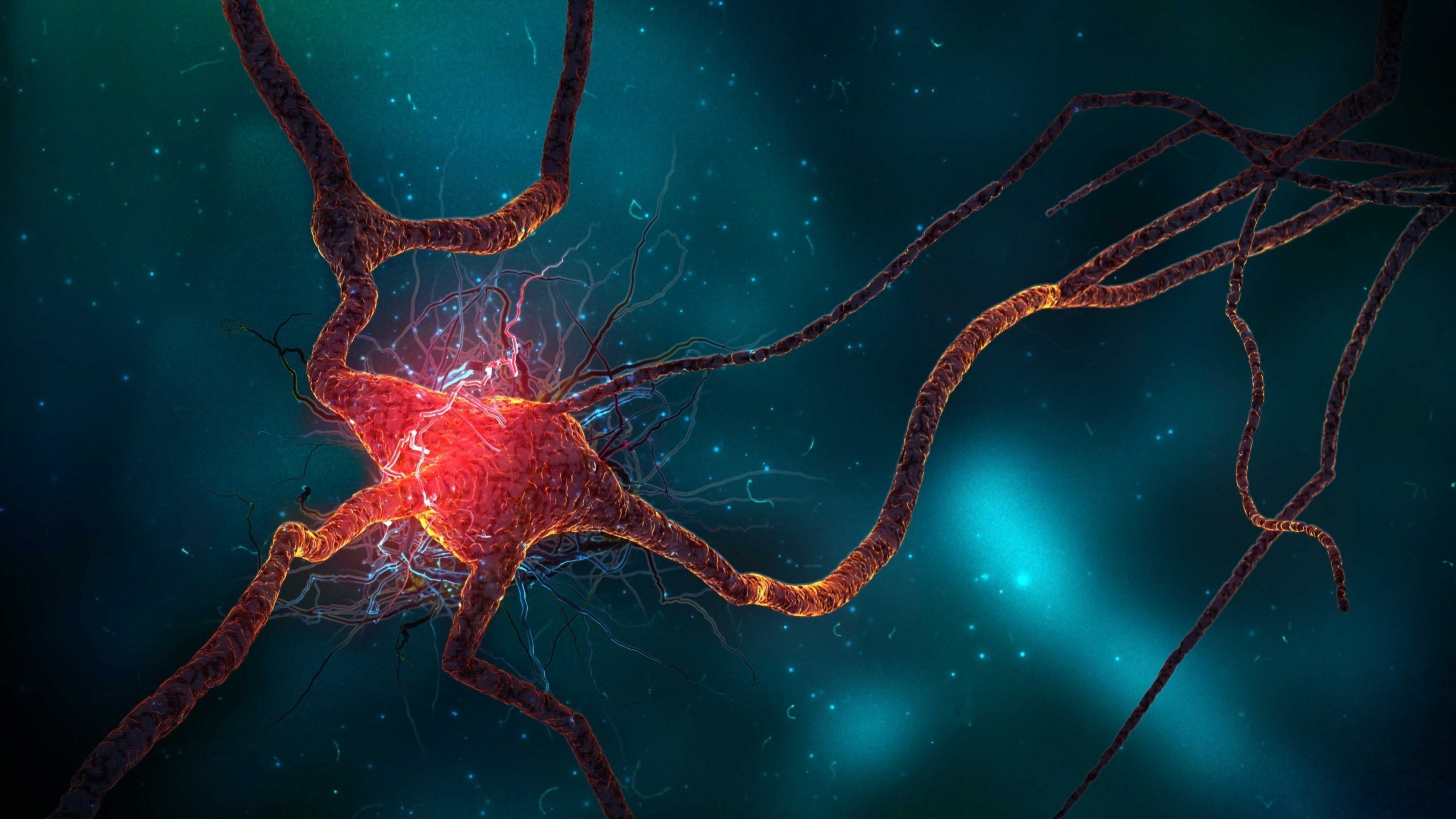 Ученые нашли способ снижения нейровоспаления