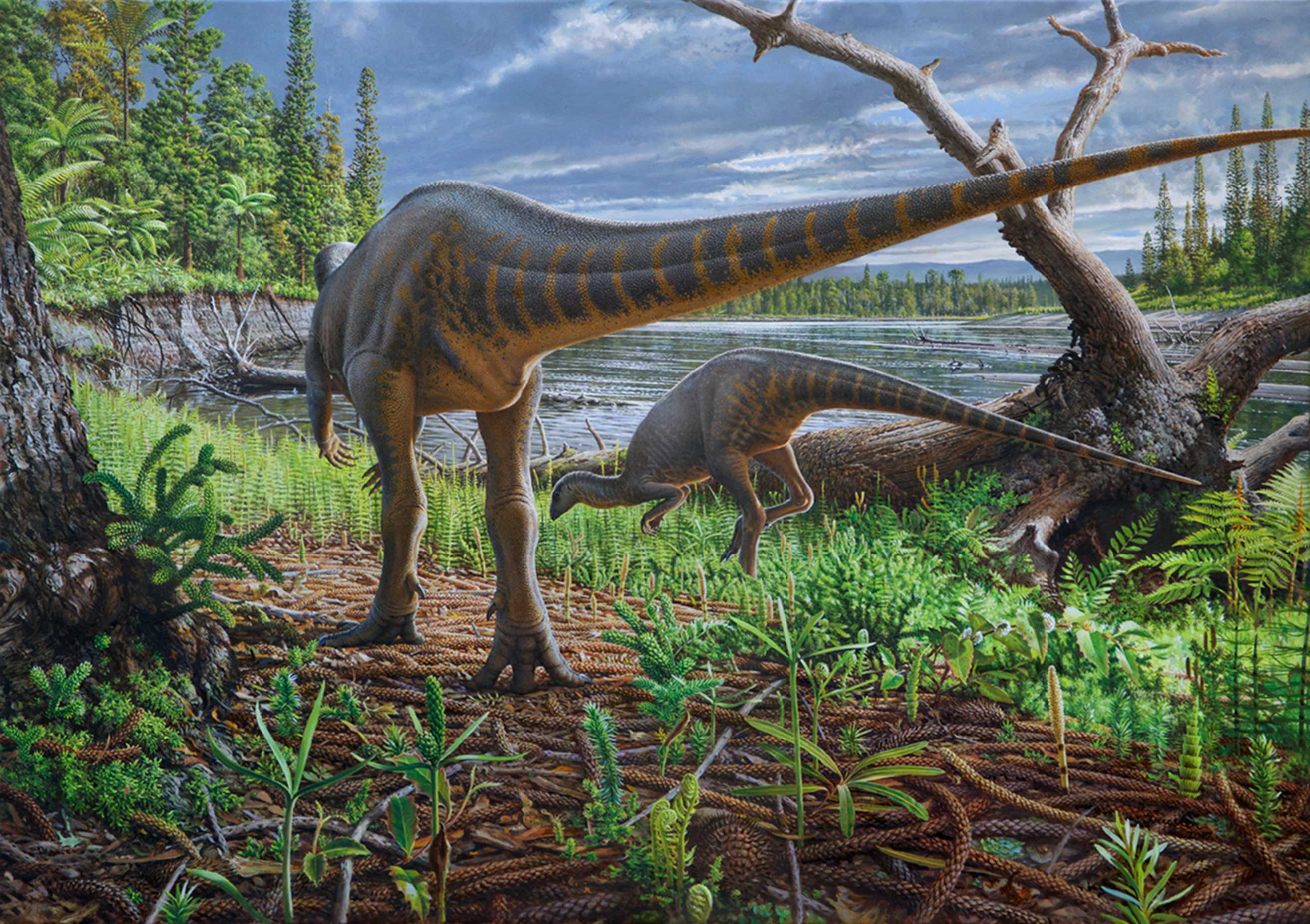Полярники мезозоя. Каких динозавров находят в Якутии и на Аляске и как им жилось