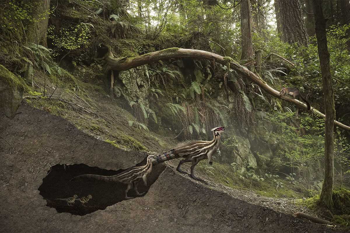 Полярники мезозоя. Каких динозавров находят в Якутии и на Аляске и как им жилось
