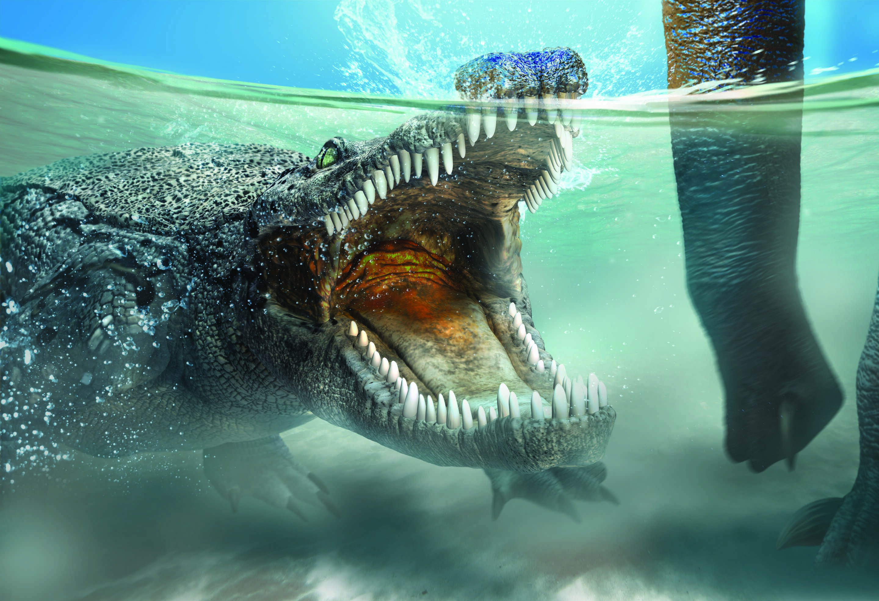 Нёбный клапан помог крокодилам пережить динозавров