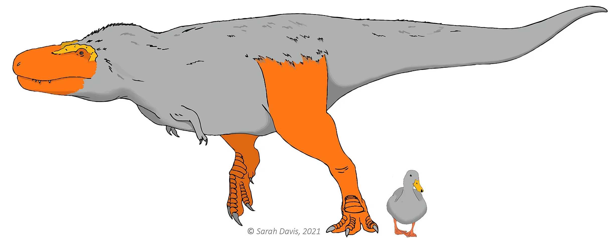 Предок динозавров и птиц мог иметь яркую расцветку кожи
