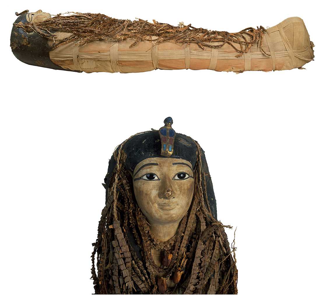 Томограмма и мозг фараона Аменхотепа