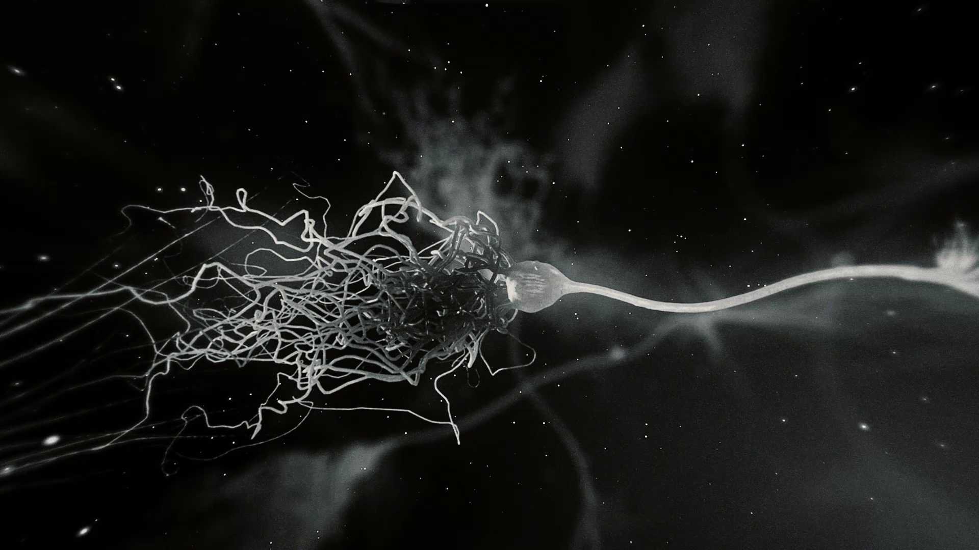 Почему нейроны такие прожорливые