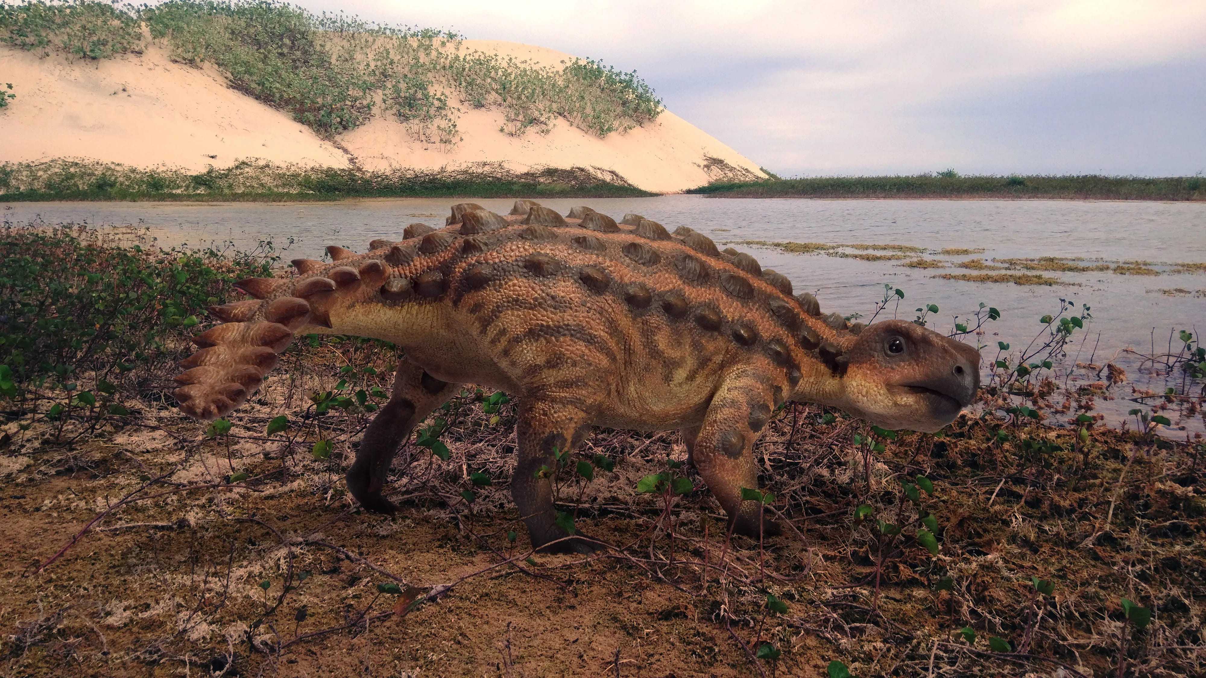 У нового вида динозавров из Чили был уникальный режущий хвост