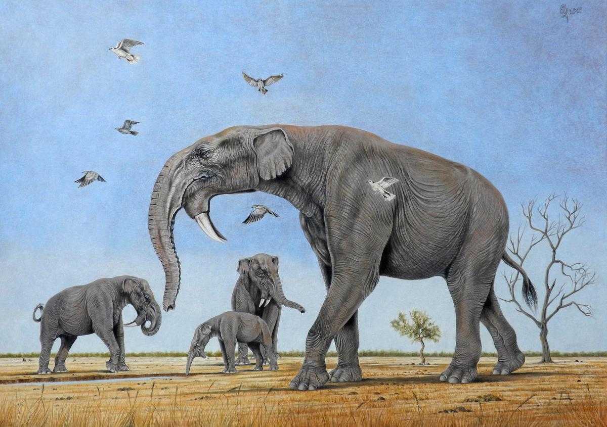 Эволюционная баллистика мамонтов: от хоботных до загадки голоценового финала