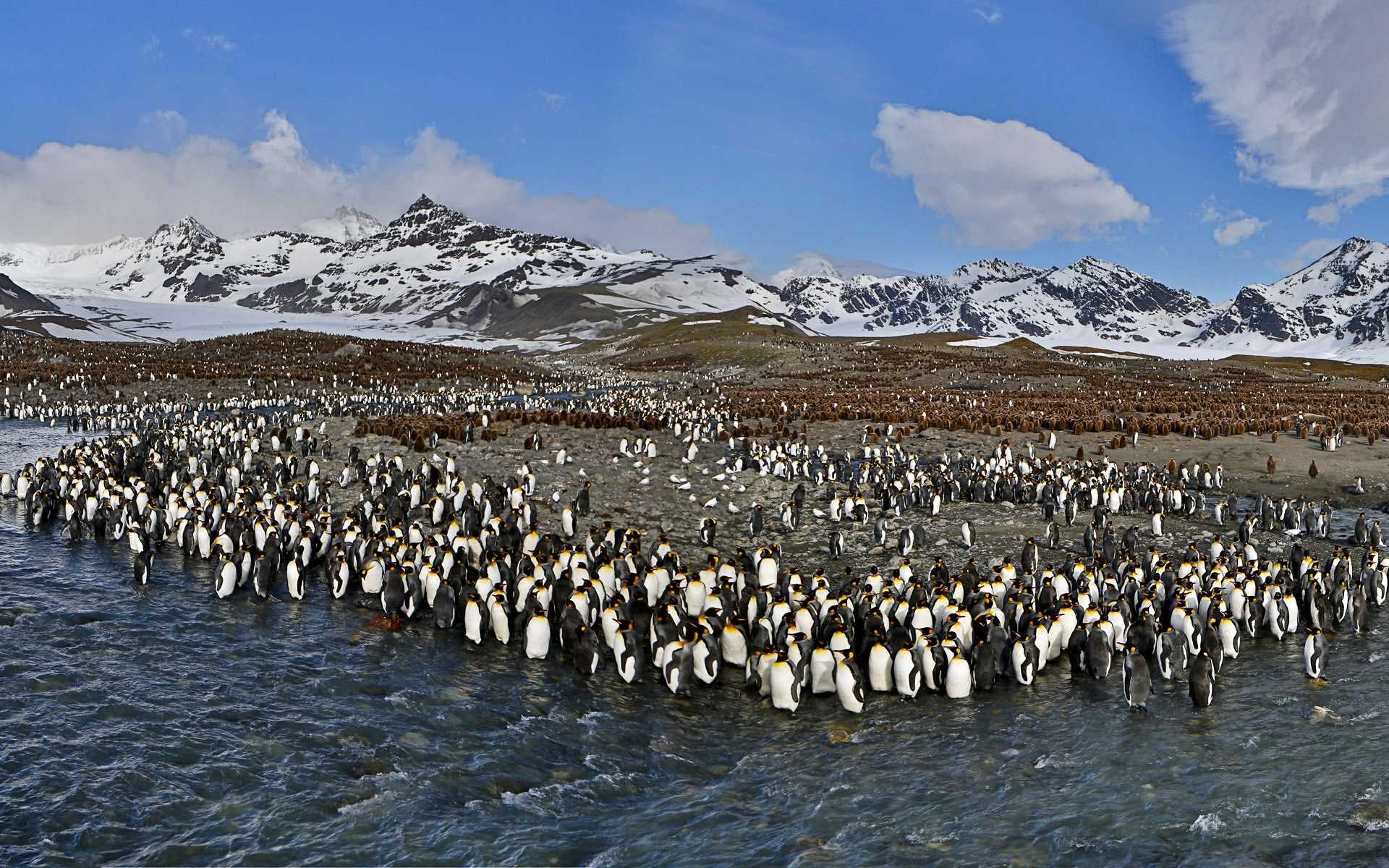 Возле Антарктиды нашли источник загадочного цунами