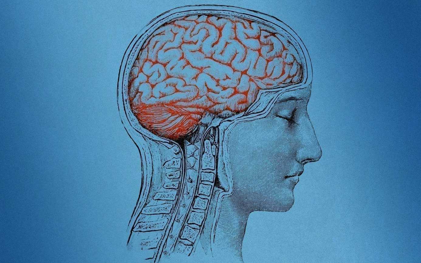 Ученые выяснили, как мозг решает, что может контролировать ситуацию
