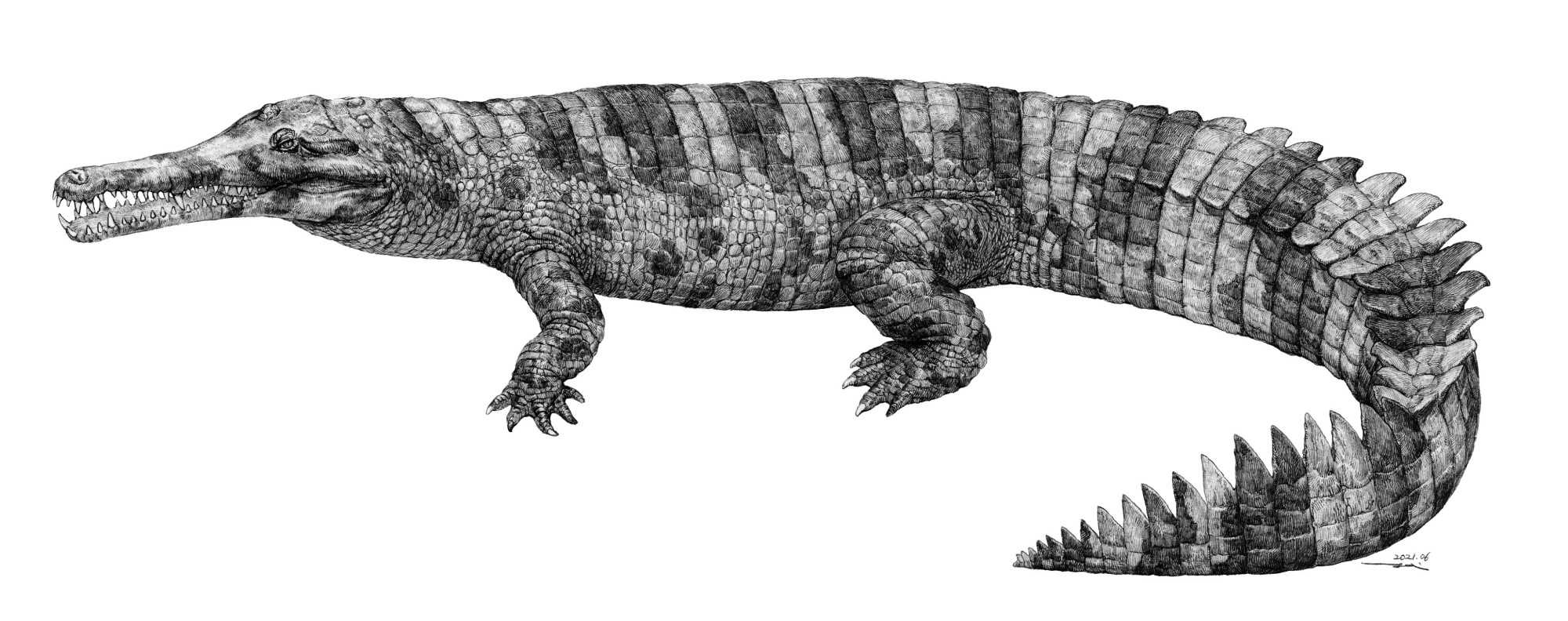 Гавиал из бронзового века Китая позволил разобраться в родственных связях крокодилов