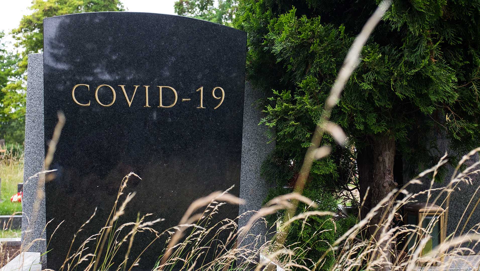 Реальное число жертв пандемии Covid-19 может в три раза превышать официальные данные
