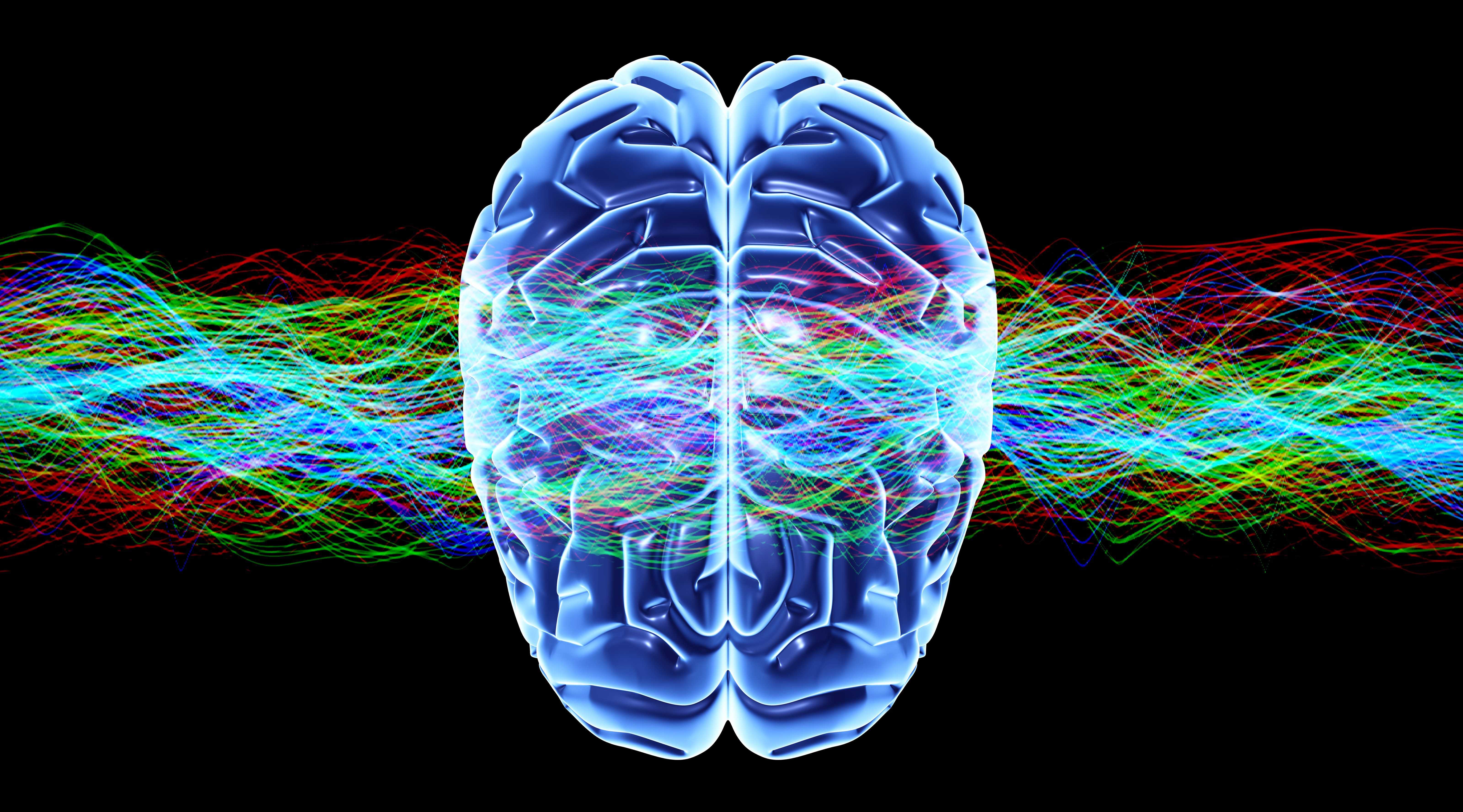 Мозг обрабатывает информацию с помощью волн