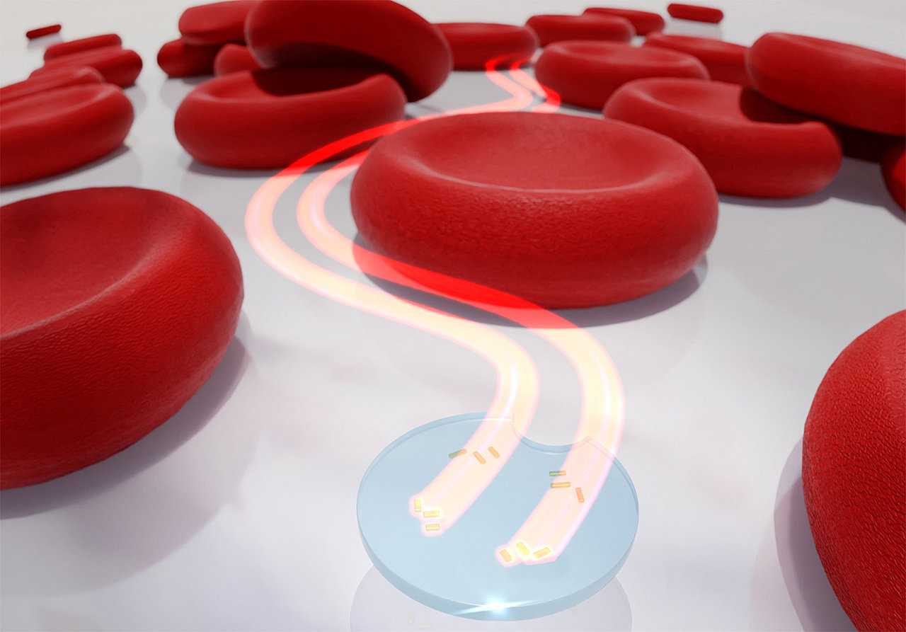 Немцы создали управляемые светом микродроны размером с треть эритроцита