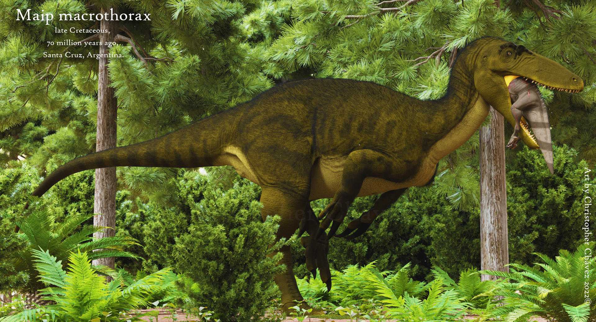Палеонтологи описали крупнейшего мегараптора длиной около 10 метров