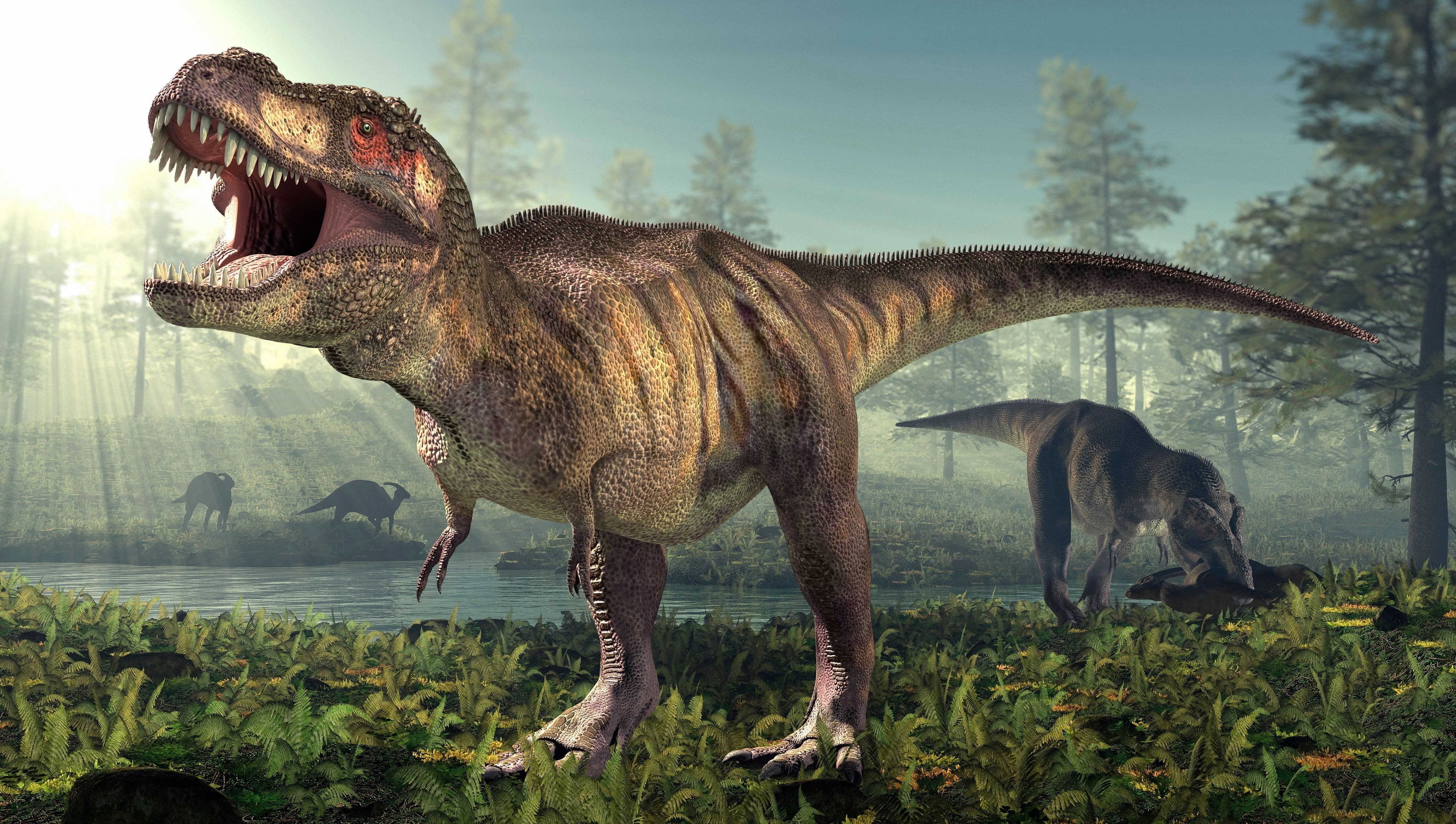 Тираннозавры уменьшили лапки, чтобы их не отгрызли друзья