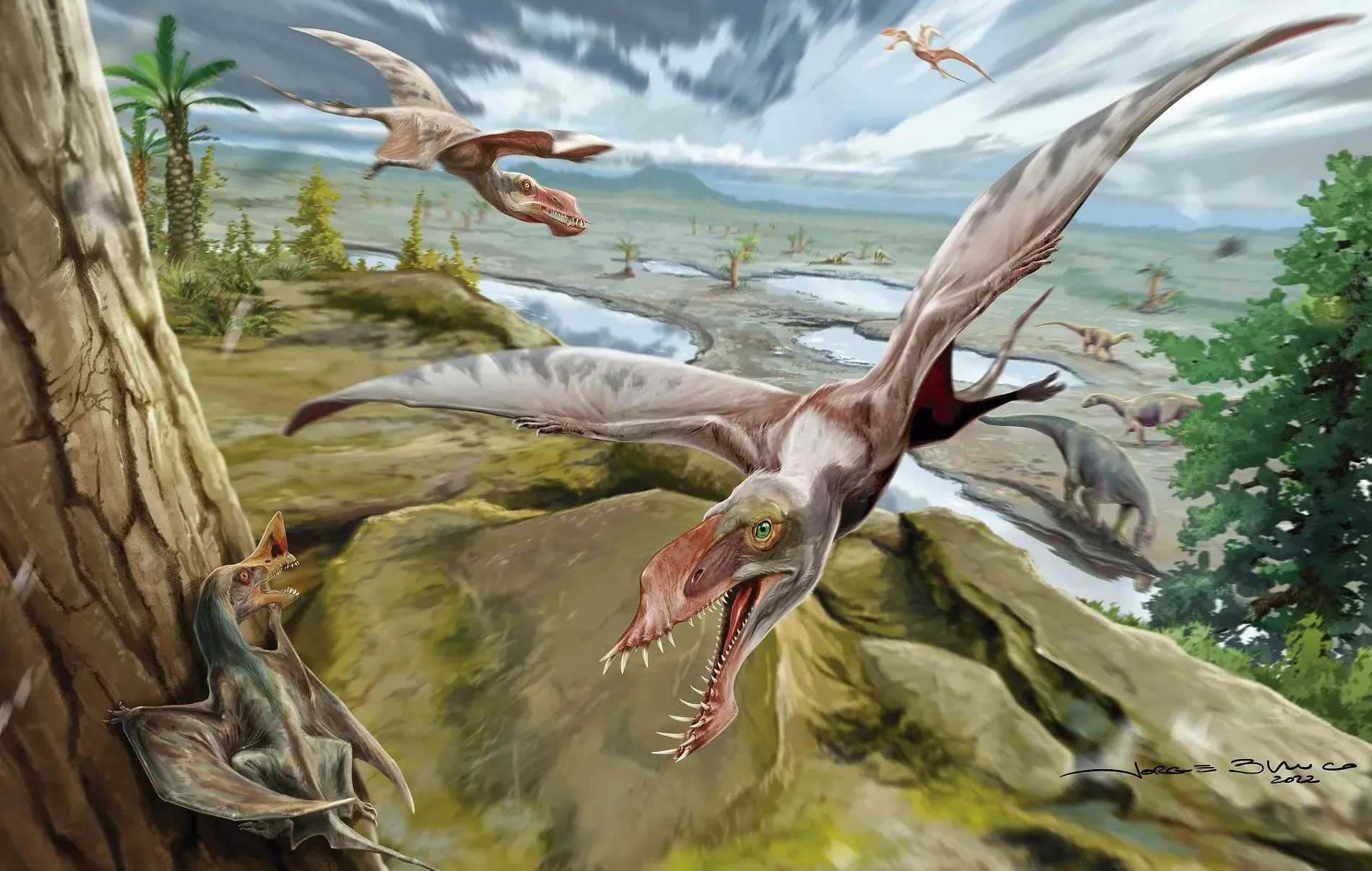 Палеонтологи описали самых древних птерозавров Южного полушария