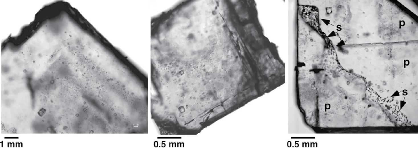 Геологи нашли древние организмы в кристаллах каменной соли возрастом 830 миллионов лет