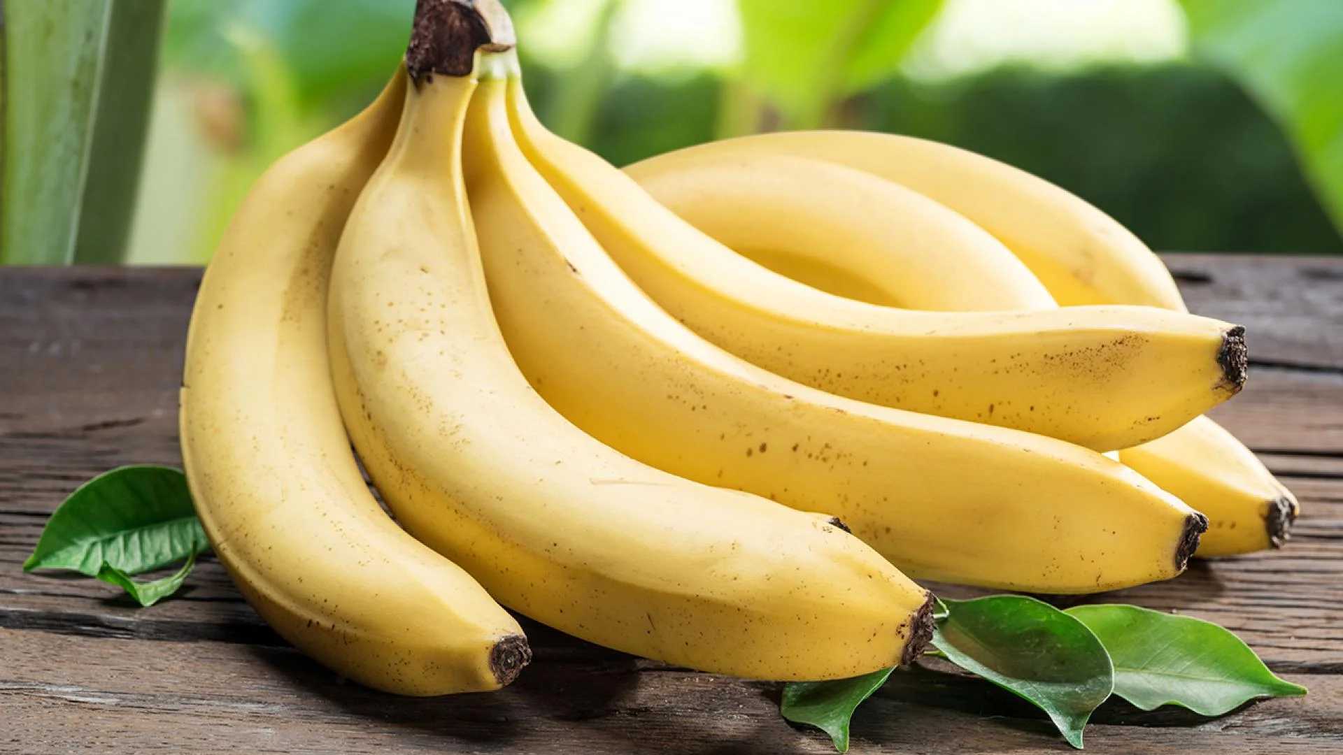 Ученые обнаружили, что запах бананов вызывает стрессовую реакцию у самцов мышей