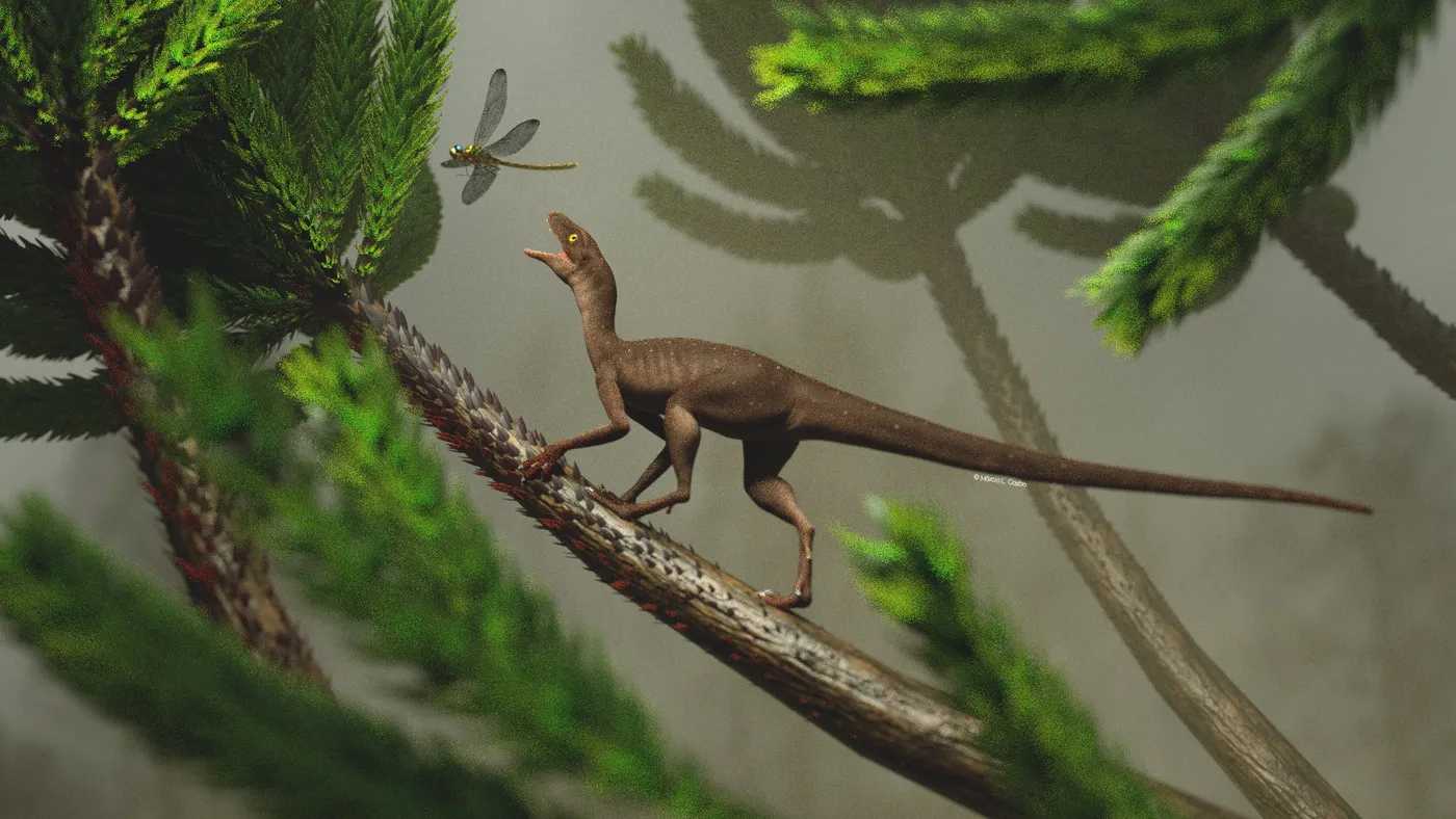 Примитивный птерозавр оказался двумя видами птерозавроморфов