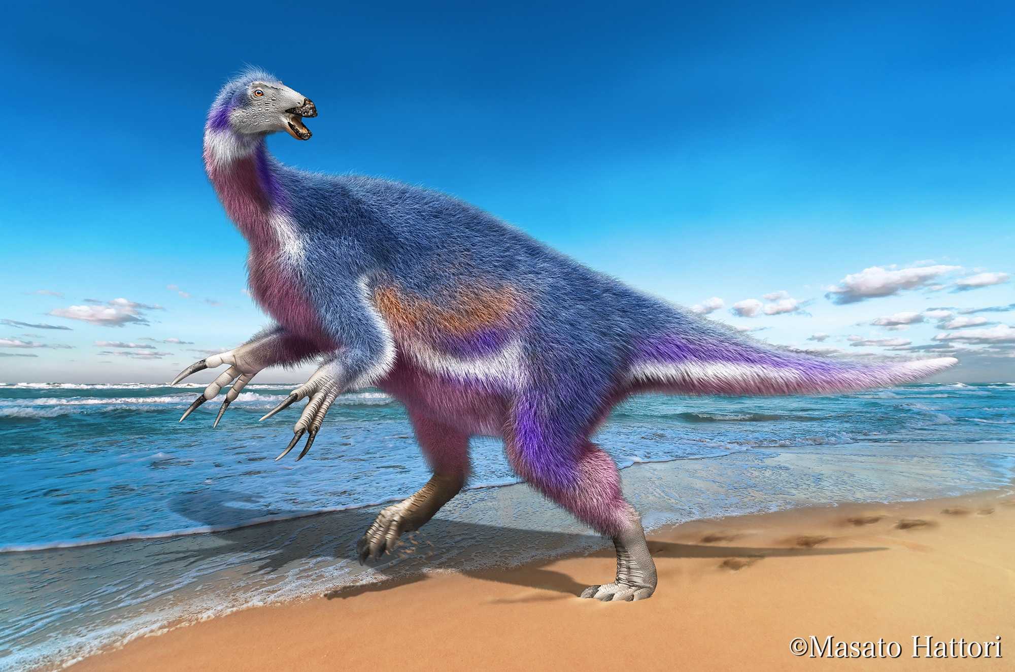 Новый японский динозавр помог разобраться в функциях когтей теризинозавров