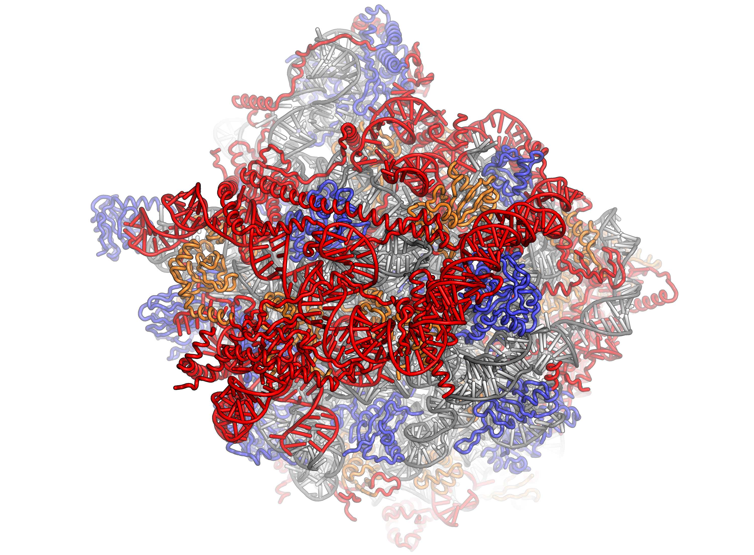 Как в мир РНК пришли белки