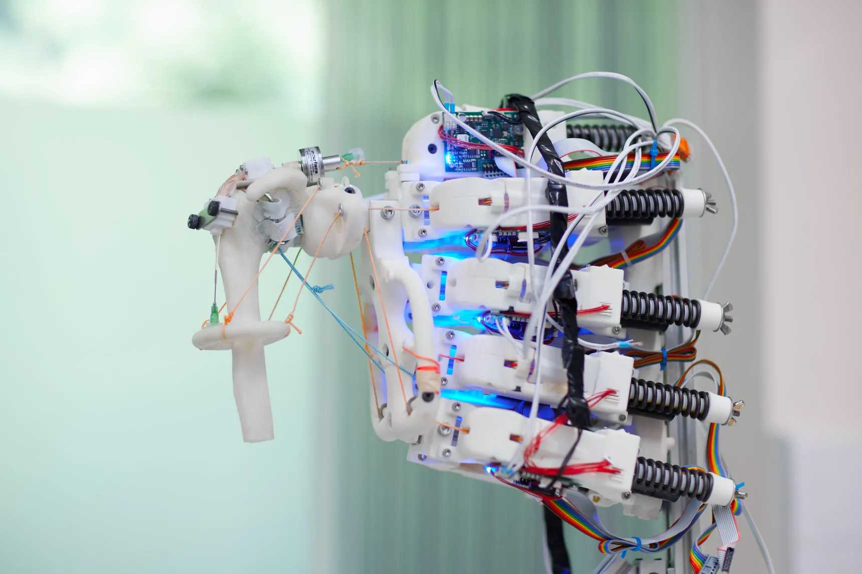 Человеческие клетки впервые вырастили на скелете антропоморфного робота