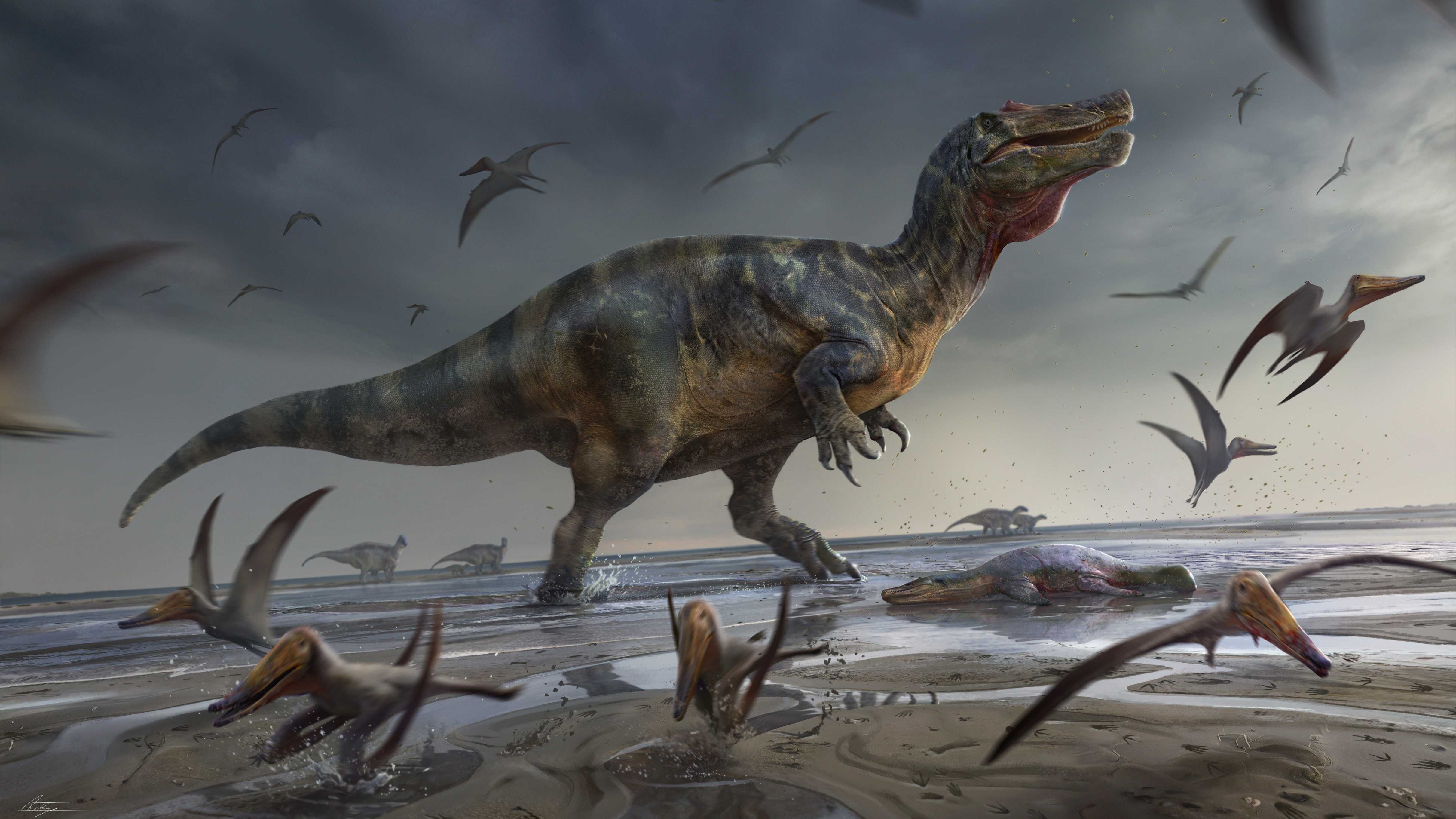 Спинозаврид с острова Уайт оказался одним из самых крупных хищных динозавров Европы